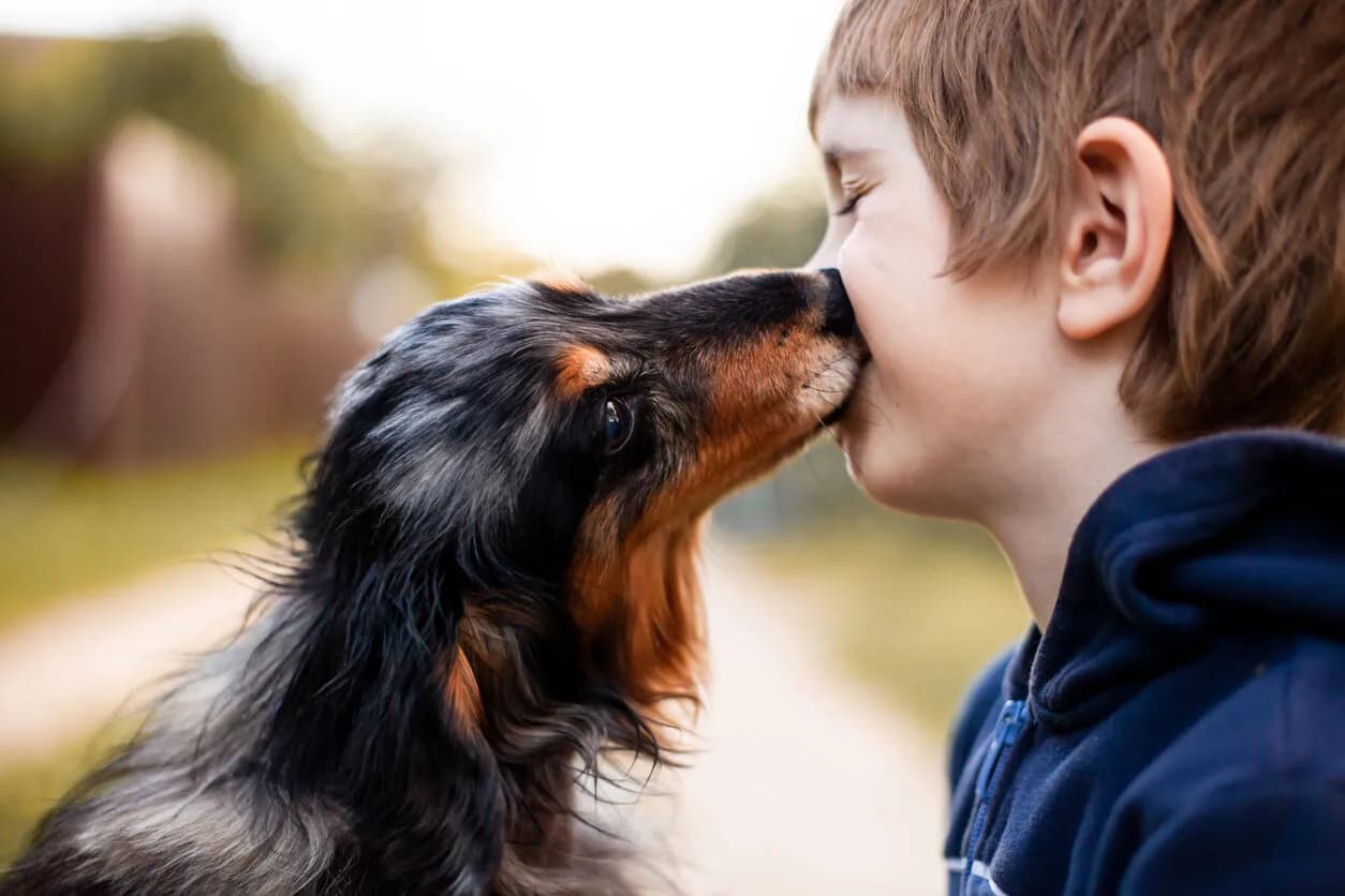 Riddle Me This: When Dog Coat Color Beauty Meets Biology